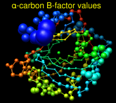 alpha-carbon bfactor