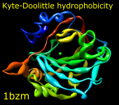 residue kdHydrophobicity